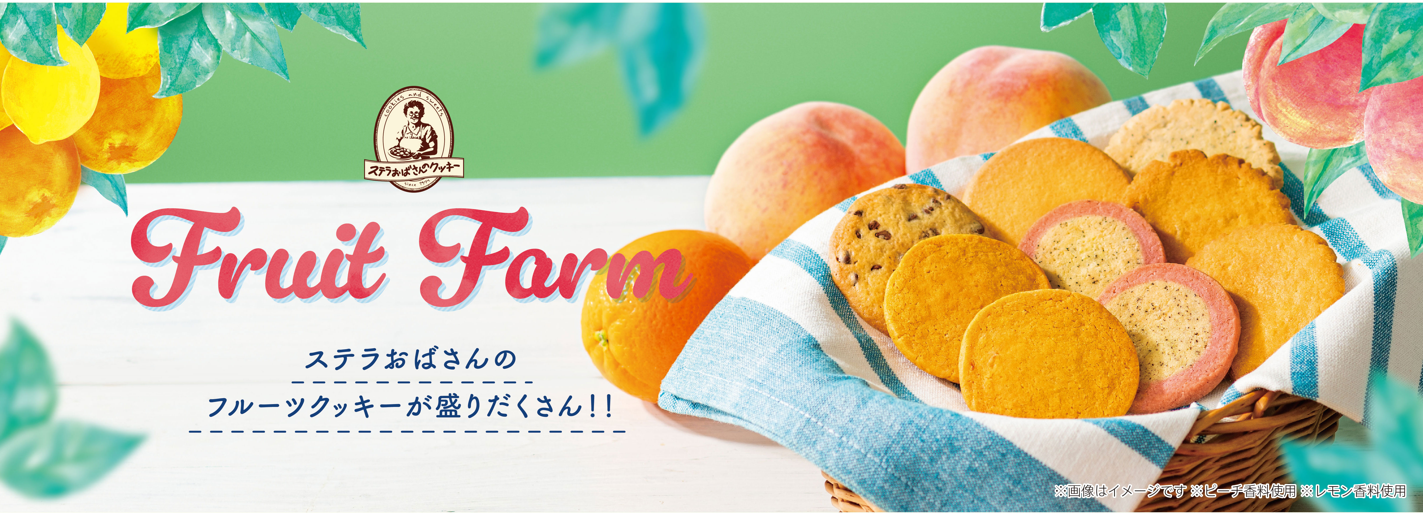季節のギフト