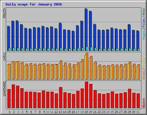 Daily usage for January 2026