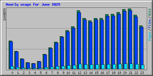Hourly usage for June 2025