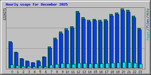 Hourly usage for December 2025