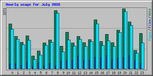 Hourly usage for July 2026
