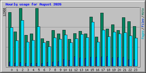 Hourly usage for August 2026