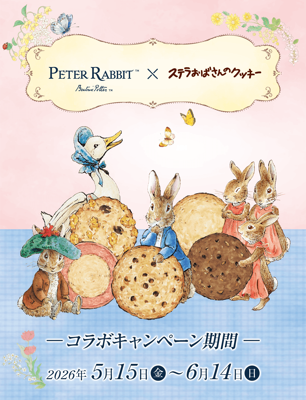 アントステラ×ピーターラビット